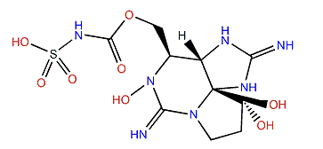 Gonyautoxin 6